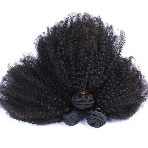 3/4 Afro Kinky Curly Bundles with 4x4 Lace Closure Bath & Beauty Coily Hair Care 